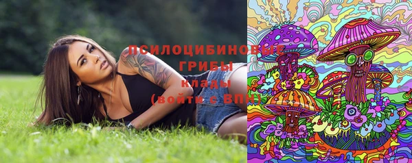 прущая мука Белоозёрский