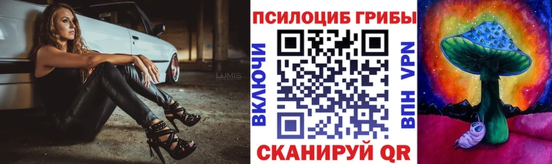 Галлюциногенные грибы Psilocybe  МЕГА зеркало  Соль-Илецк 
