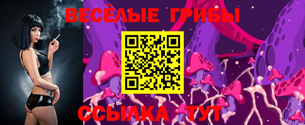 Галлюциногенные грибы Magic Shrooms  Вход с VPN  Соль-Илецк 
